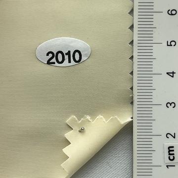 2010 Beige