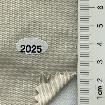 2025 Beige