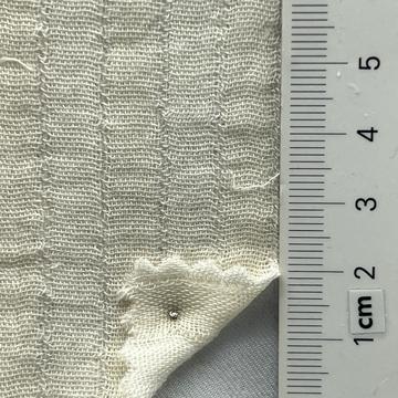 99999 Ivory