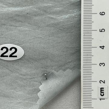 22 Gray