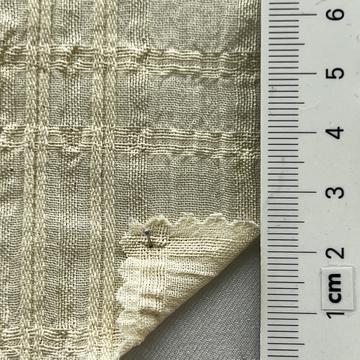 99999 Ivory