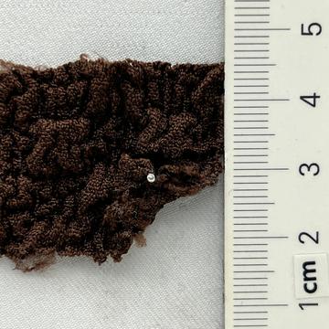 5 Brown