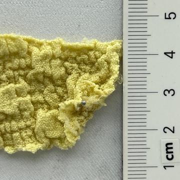 9 Yellow