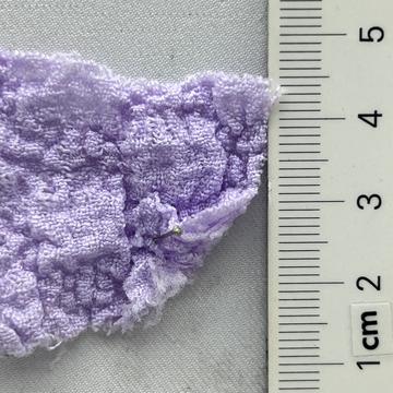 11 Lavender
