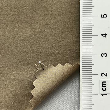 19 Beige