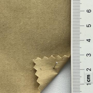 22 Beige