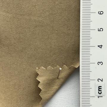 23 Camel