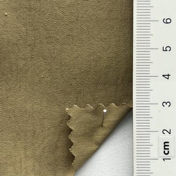 25 Camel