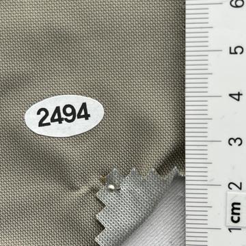 2494 Pale Green