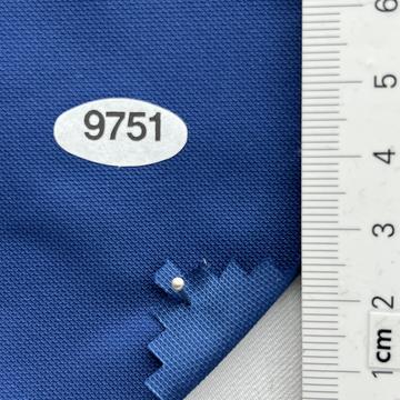 9751 Blue