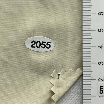 2055 Ivory