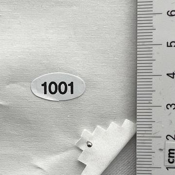 1001 White