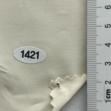 1421 Ivory
