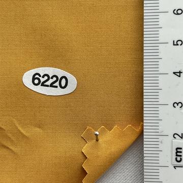 6220 Orange