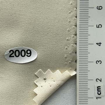 2009 Beige