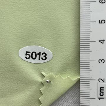 5013 Pale Green