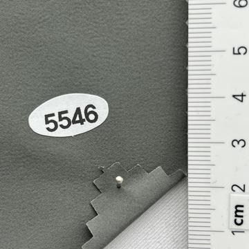 5546 Gray