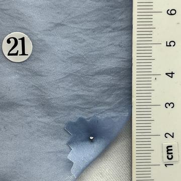 21 Pale Blue