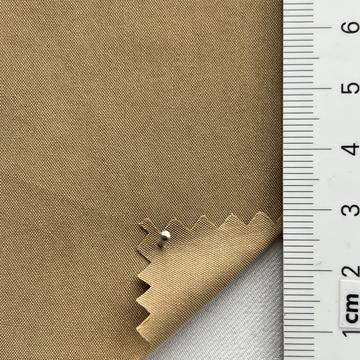 27 Camel