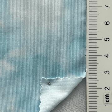 5 Pale Blue