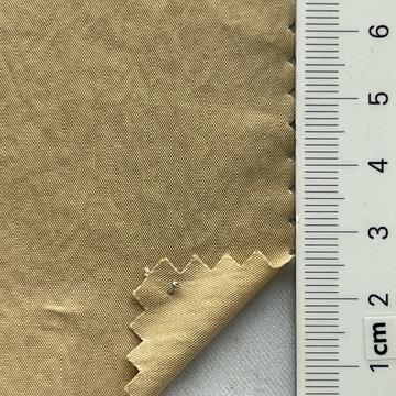 24 Beige