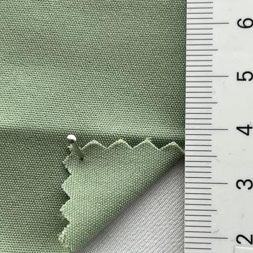 41 Pale Green