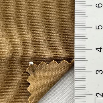 18 Camel
