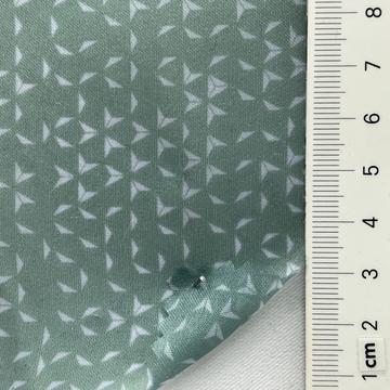 Polyester Organza