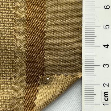 19 Camel