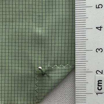 6 Pale Green