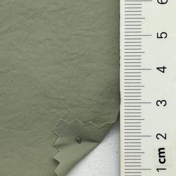 8 Pale Green
