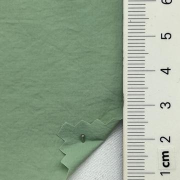 13 Pale Green