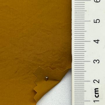 23 Camel