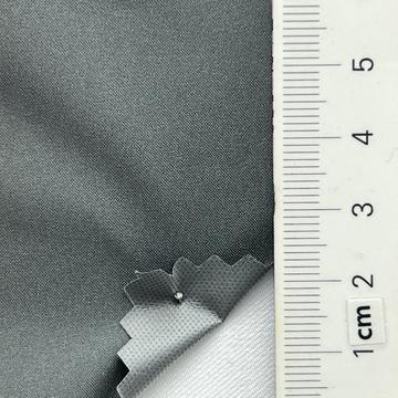 19 Gray