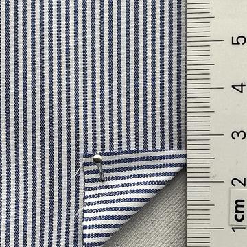 241 Blue