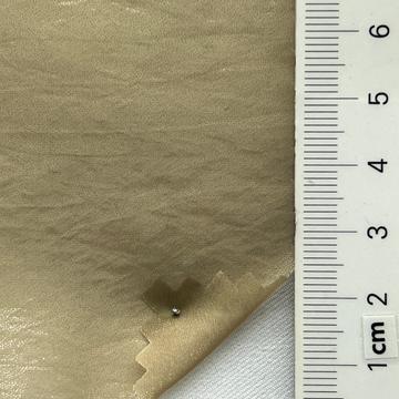 20 Beige