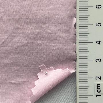 99999 Pale Pink