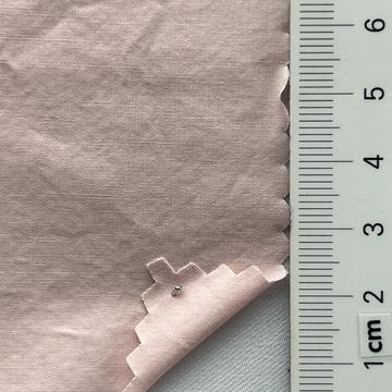 99999 Pale Pink
