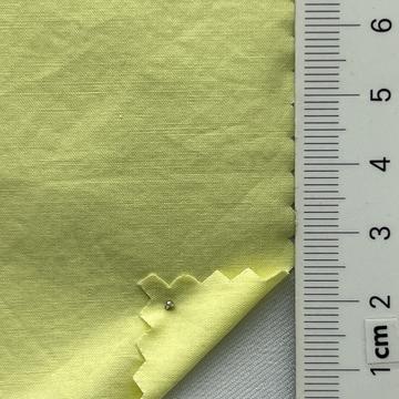 99999 Pale Green