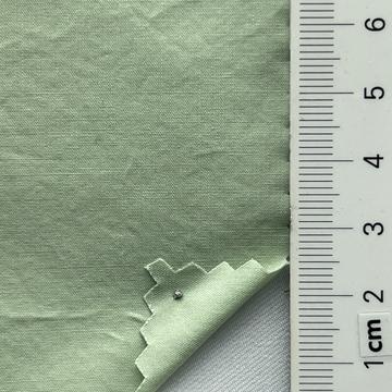 99999 Pale Green