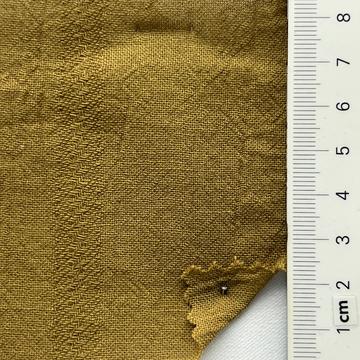 19 Camel