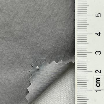 19 Gray