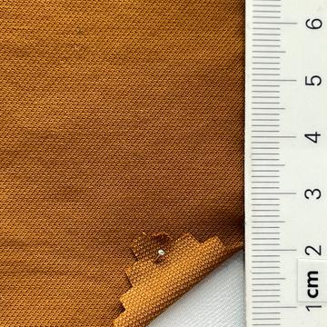 25 Camel