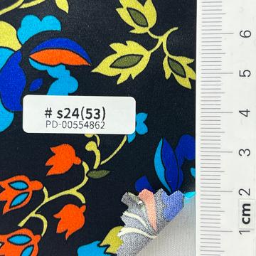 s24(53) Black