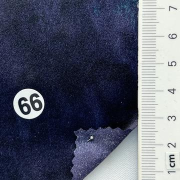 66 Purple