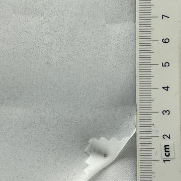 11 White