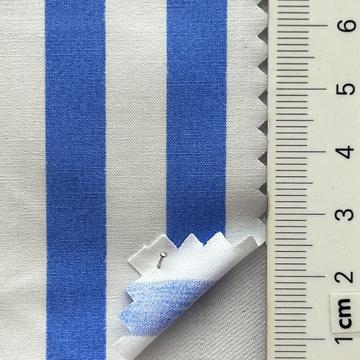 99999 Pale Blue