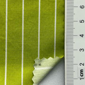 13 Pale Green