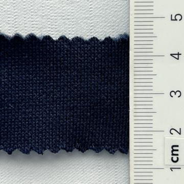 21 Navy