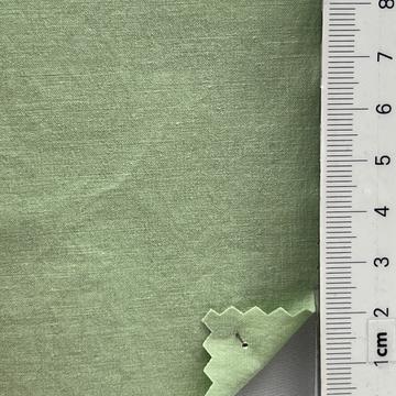 23 Pale Green